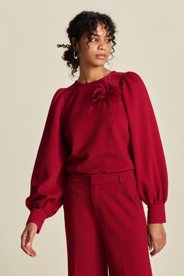 Newvoic.shop8bc57c37ff 1